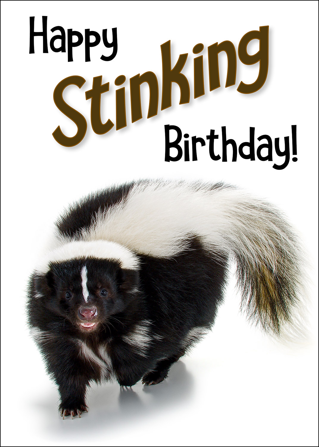 Birthday Card Value Pack (SAVE $5) - Image 2