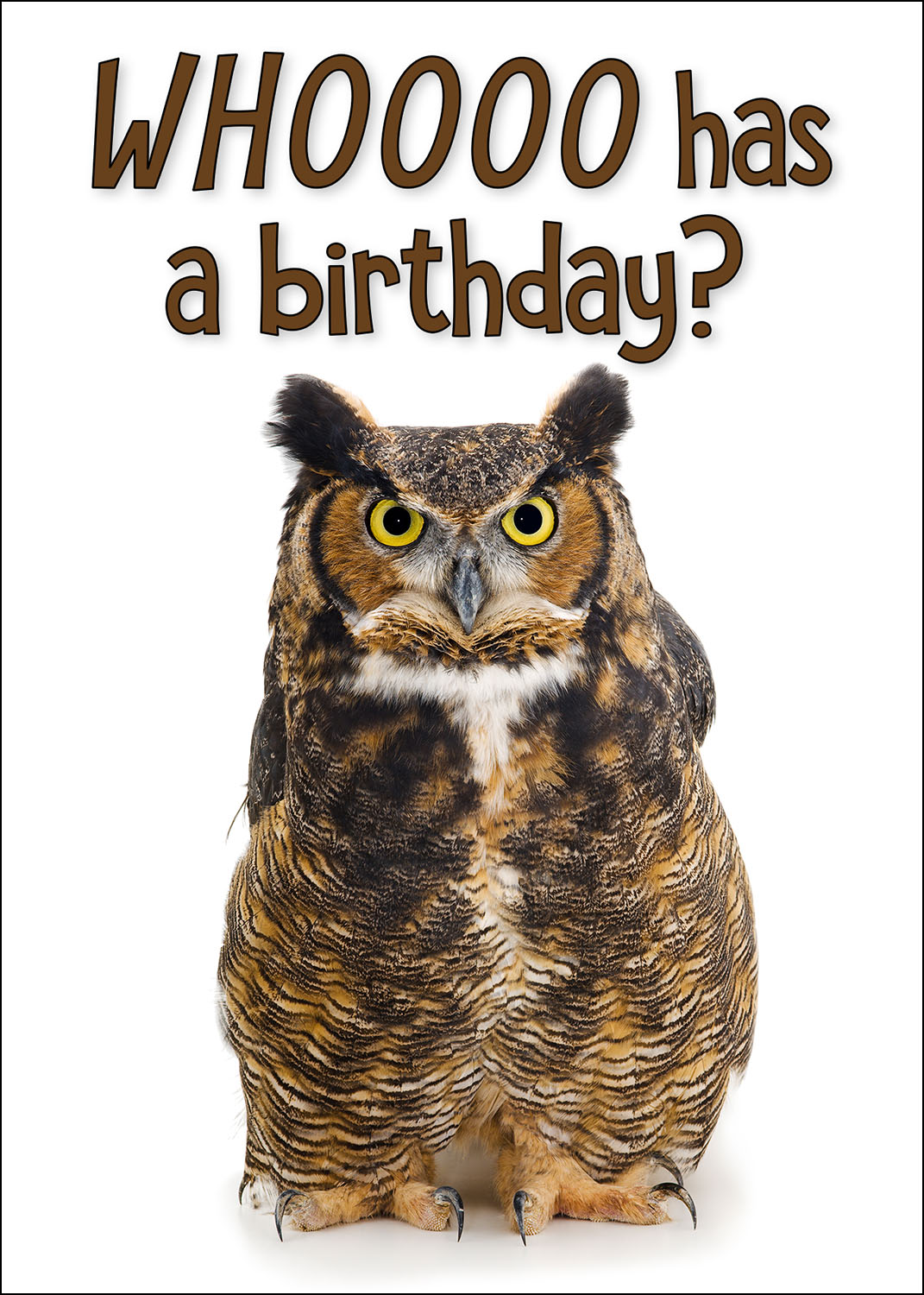 Birthday Card Value Pack (SAVE $5) - Image 8