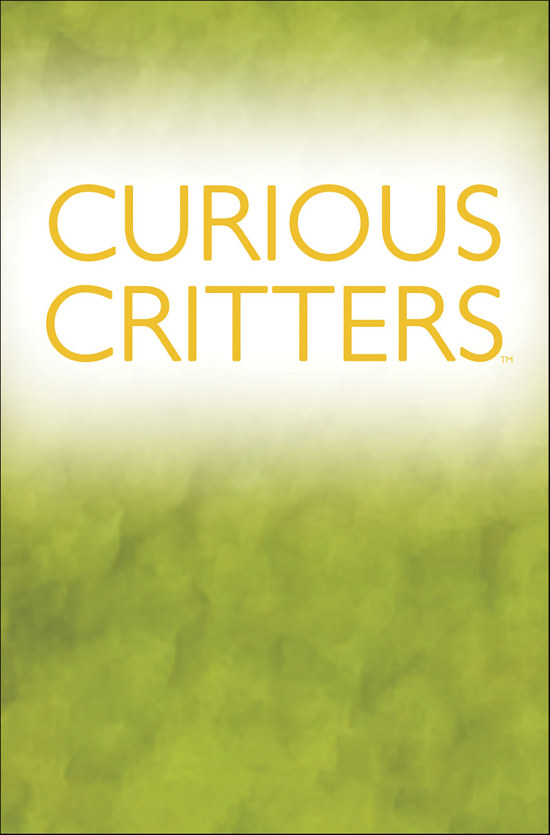 Curious Critters 5-in-1 Educational Card Game - Image 7