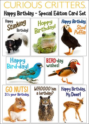 Birthday Card Value Pack (SAVE $5)