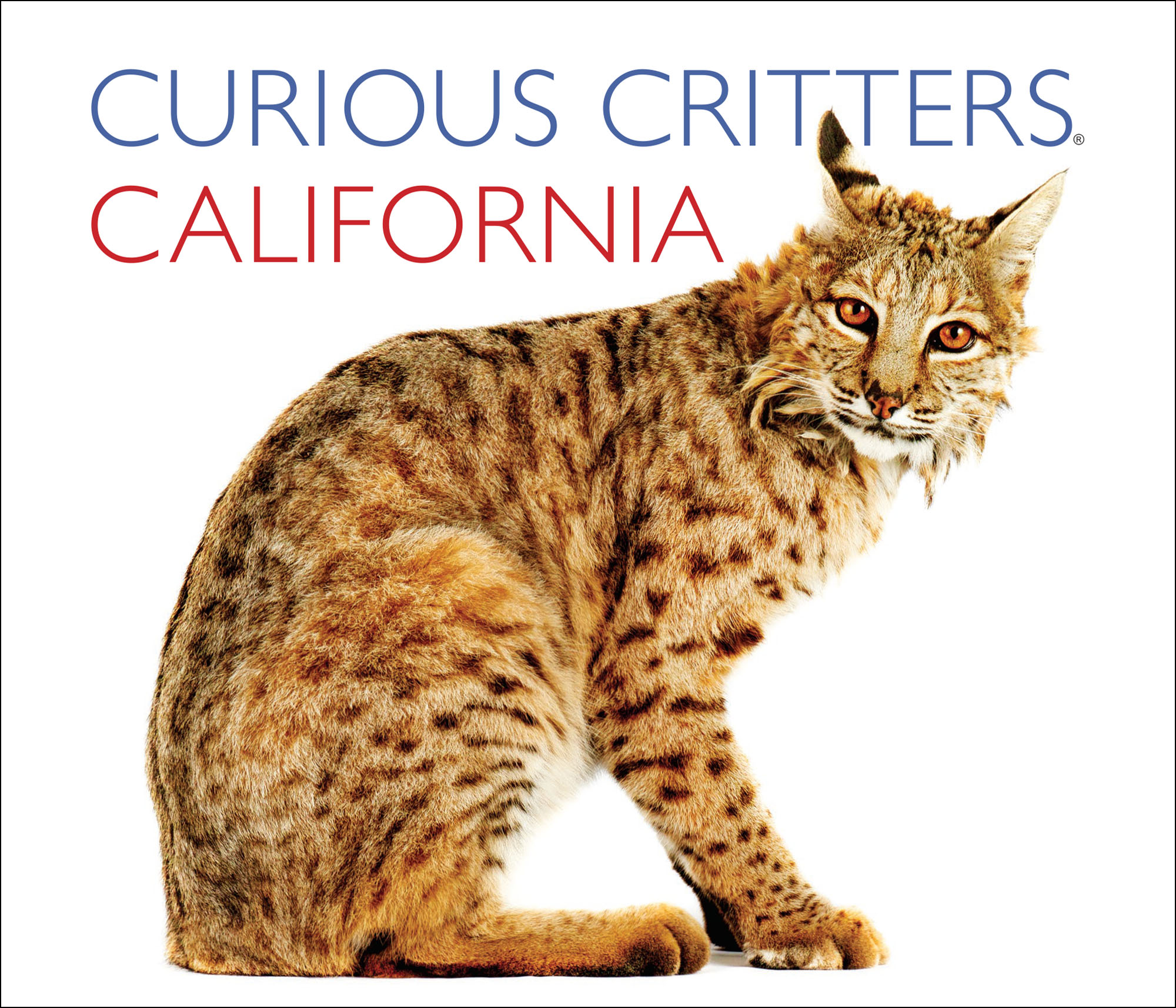 Curious Critters California