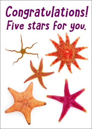 Congratulations Greeting Card