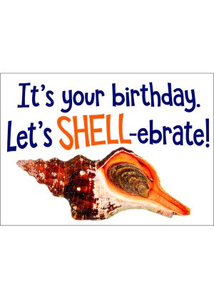 Horse Conch Birthday Card