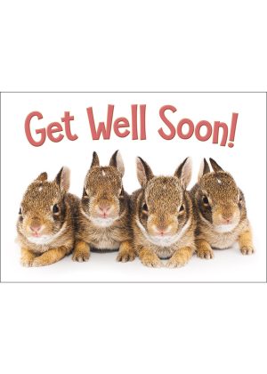 Bunnies Get Well Soon Greeting Card