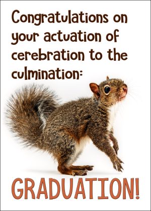Gray Squirrel Graduation Card