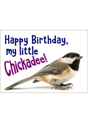 Black-Capped Chickadee Birthday Card