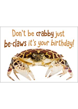 Crabby Crab Birthday Card