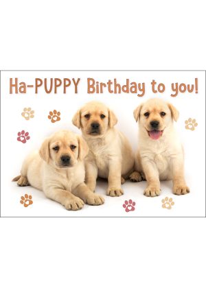 Labradoor Retriever Puppies Birthday Card