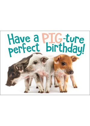Mangalica Piglets Birthday Card