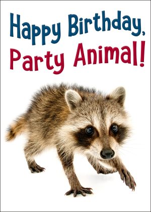Raccoon Party Animal Birthday Card