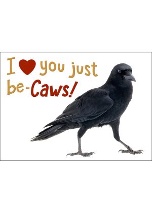American Crow Greeting Card