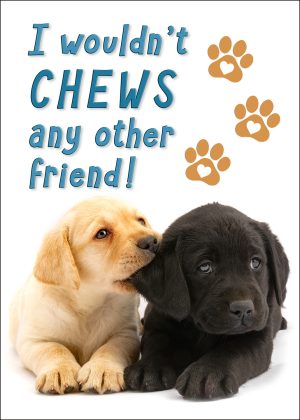 Chews Your Friends Greeting Card