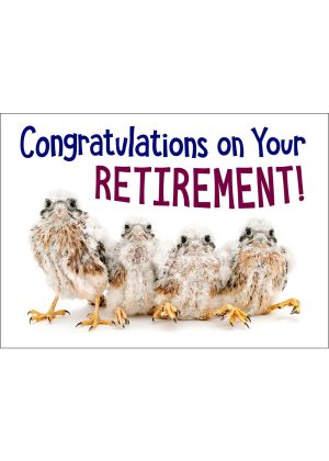 American Kestrels Retirement Card