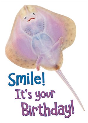 Smiling Skate Birthday Card
